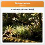 2026 के सबसे गर्म तापमान आ रहे हैं