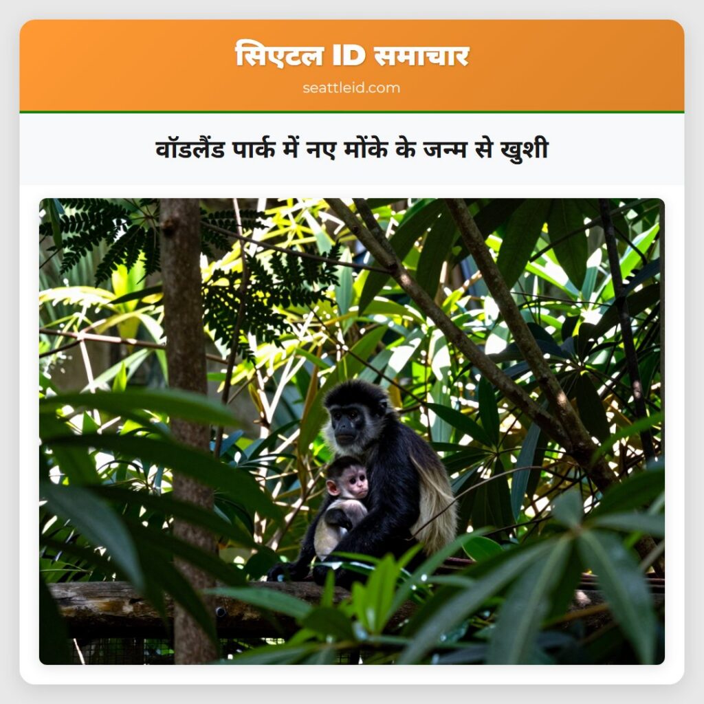 वॉडलैंड पार्क में नए मोंके के जन्म से खुशी