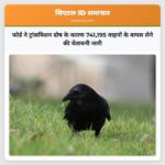 फोर्ड ने ट्रांसमिशन दोष के कारण 741195 वाहनों के वापस लेने की चेतावनी जारी