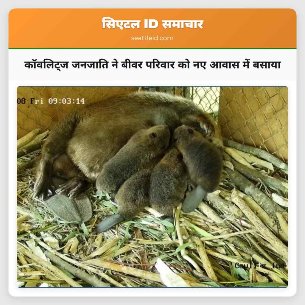 कॉवलिट्ज जनजाति ने बीवर परिवार को नए आवास में