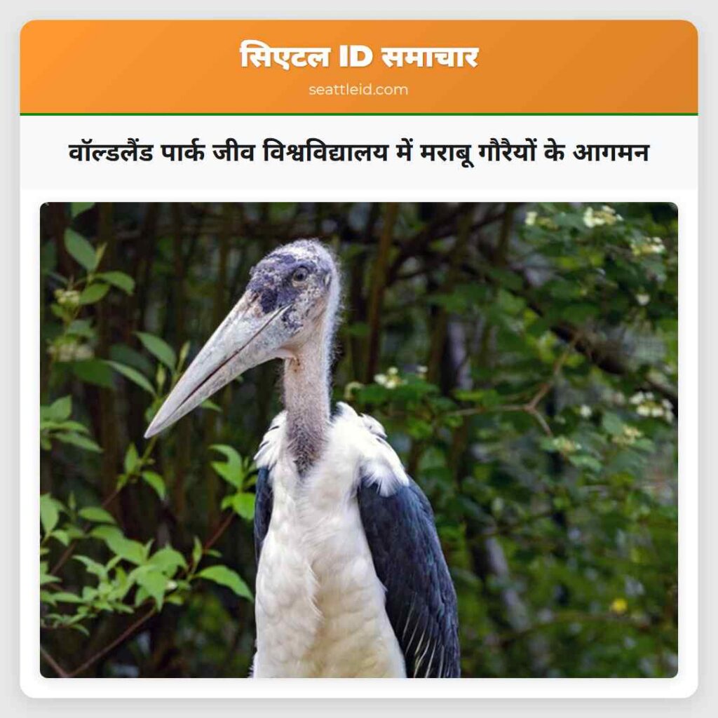 वॉल्डलैंड पार्क जीव विश्वविद्यालय में मराबू