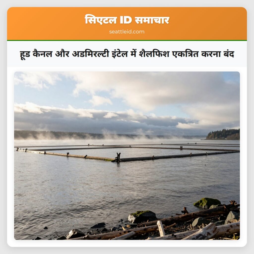 हूड कैनल और अडमिरल्टी इंटेल में शैलफिश एकत्रित