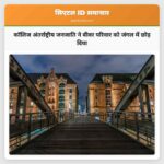 कॉलिज अंतर्राष्ट्रीय जनजाति ने बीवर परिवार को जंगल में छोड़ दिया