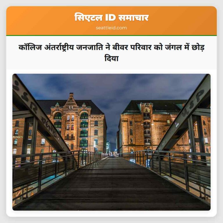 कॉलिज अंतर्राष्ट्रीय जनजाति ने बीवर परिवार को जंगल में छोड़ दिया