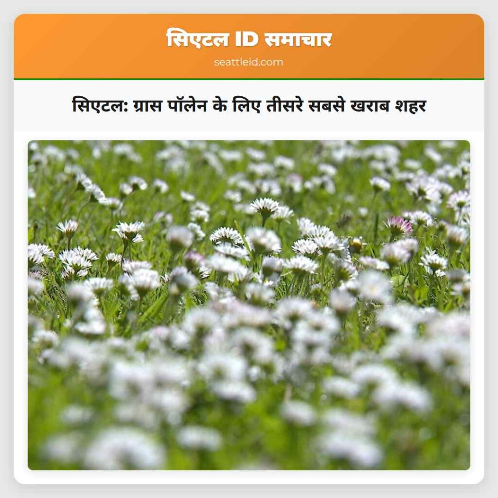 सिएटल: ग्रास पॉलेन के लिए तीसरे सबसे खराब शहर