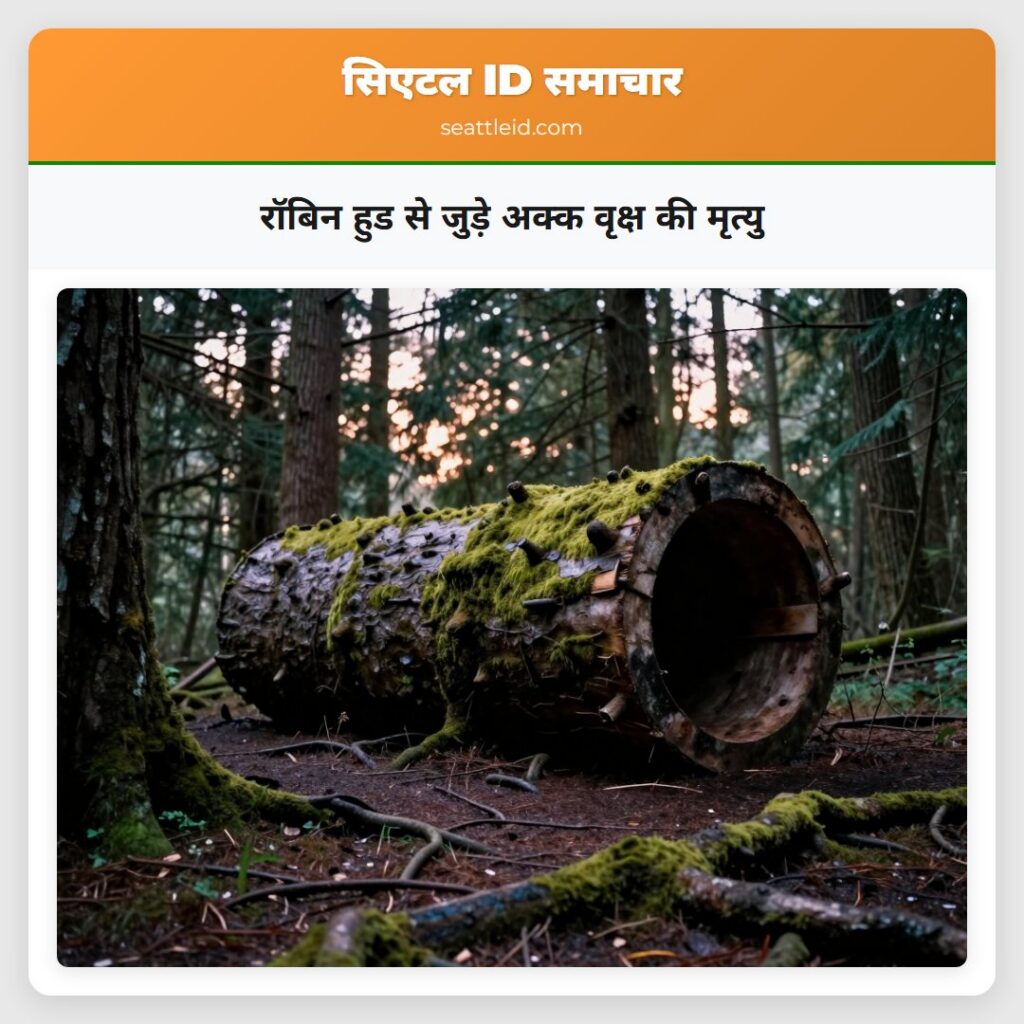 रॉबिन हुड से जुड़े अक्क वृक्ष की मृत्यु