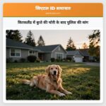 किरकलैंड में कुत्ते की चोरी के बाद पुलिस की मांग