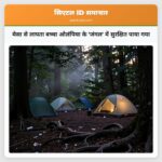 मेसा से लापता बच्चा ओलंपिया के जंगल में सुरक्षित पाया गया