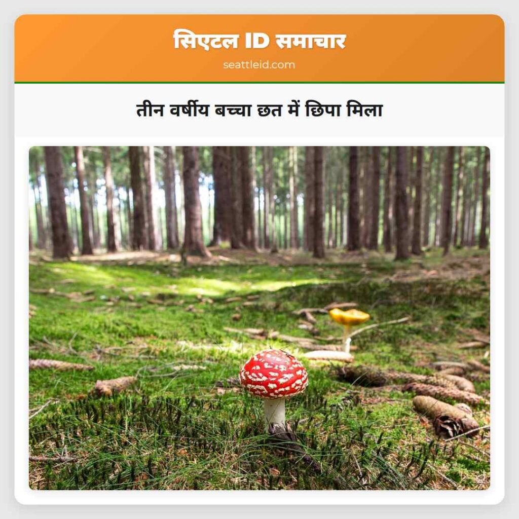 तीन वर्षीय बच्चा छत में छिपा मिला
