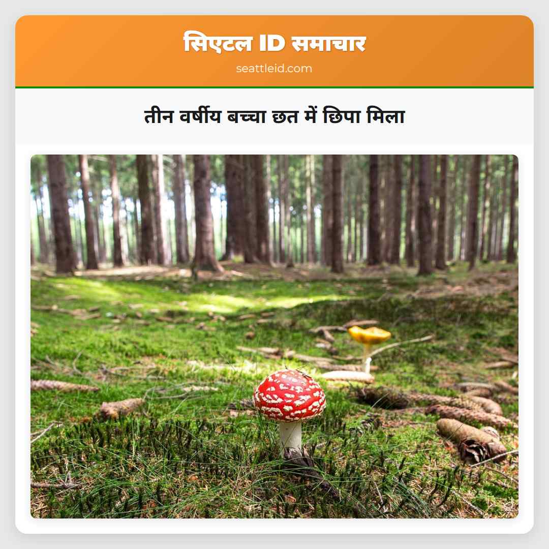 तीन वर्षीय बच्चा छत में छिपा मिला