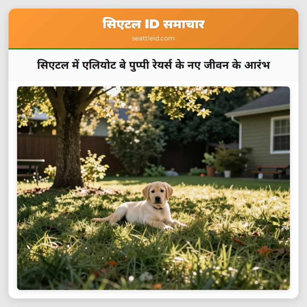 सिएटल में एलियोट बे पुप्पी रेयर्स के नए जीवन के