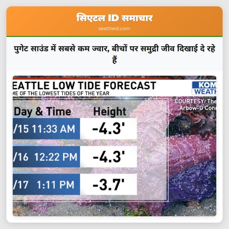 पुगेट साउंड में सबसे कम ज्वार बीचों पर समुद्री जीव दिखाई दे रहे हैं