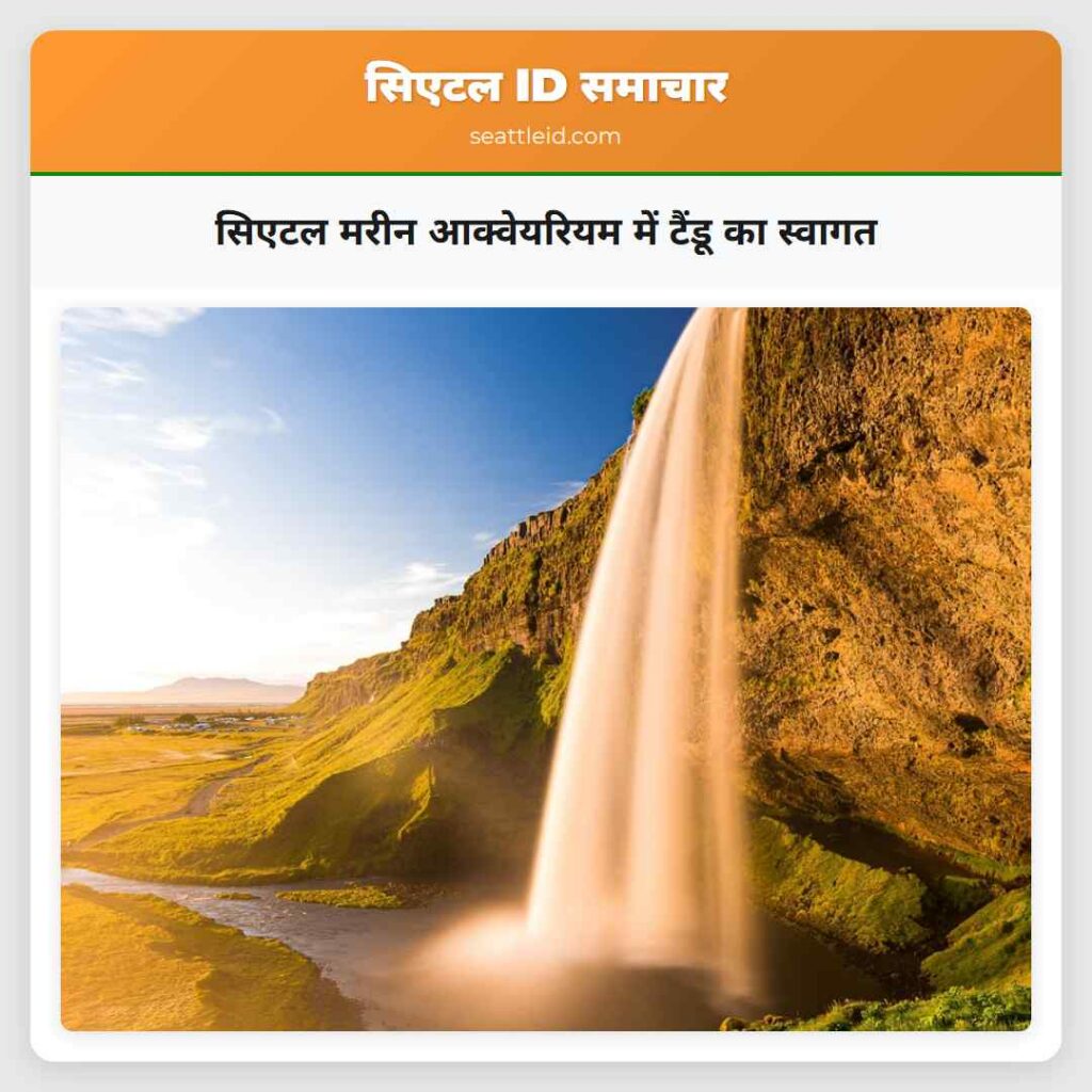 सिएटल मरीन आक्वेयरियम में टैंडू का स्वागत