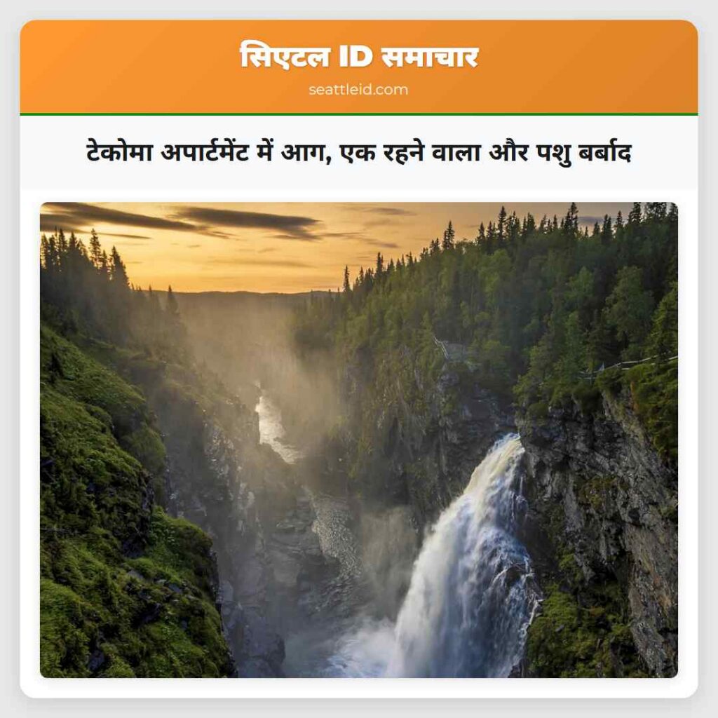 टेकोमा अपार्टमेंट में आग, एक रहने वाला और पशु