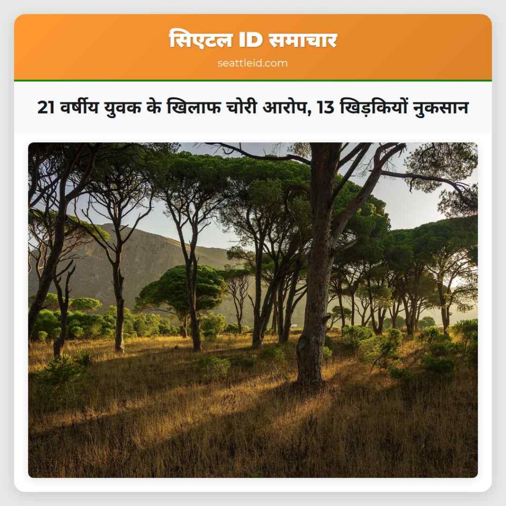 21 वर्षीय युवक के खिलाफ चोरी आरोप, 13 खिड़कियों