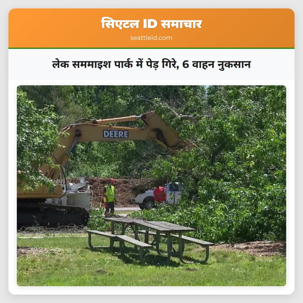 लेक सममाइश पार्क में पेड़ गिरे, 6 वाहन नुकसान