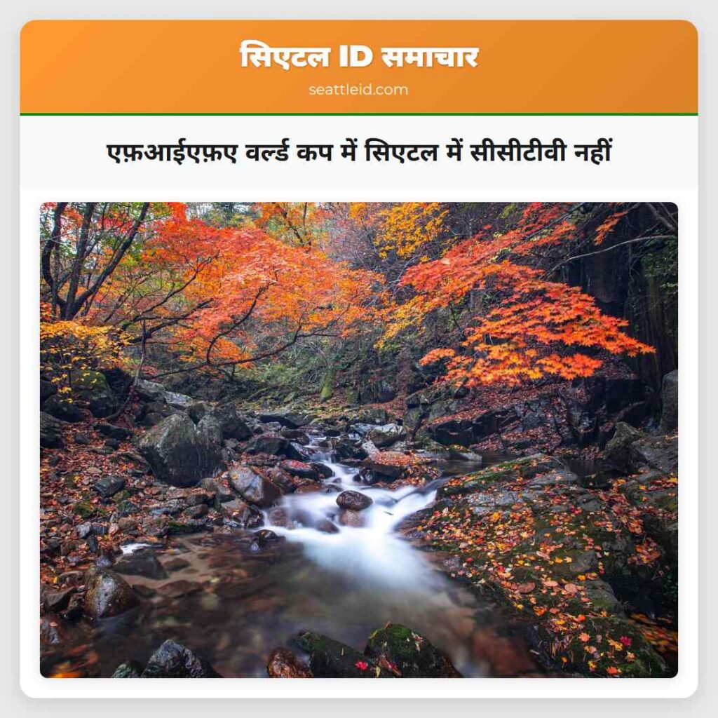 एफ़आईएफ़ए वर्ल्ड कप में सिएटल में सीसीटीवी नहीं