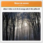 महिला ने जीवन भर के बैन के बावजूद स्लॉट में जीत हासिल की