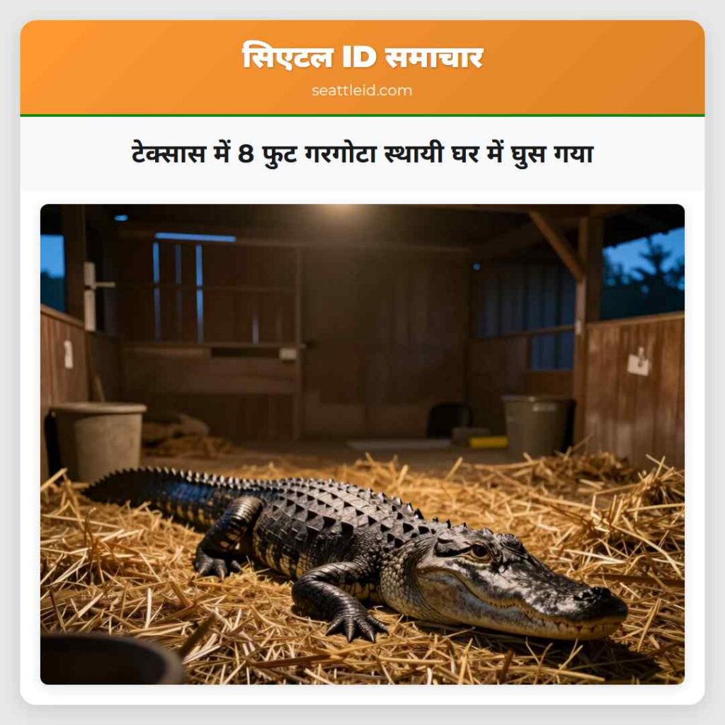 टेक्सास में 8 फुट गरगोटा स्थायी घर में घुस गया