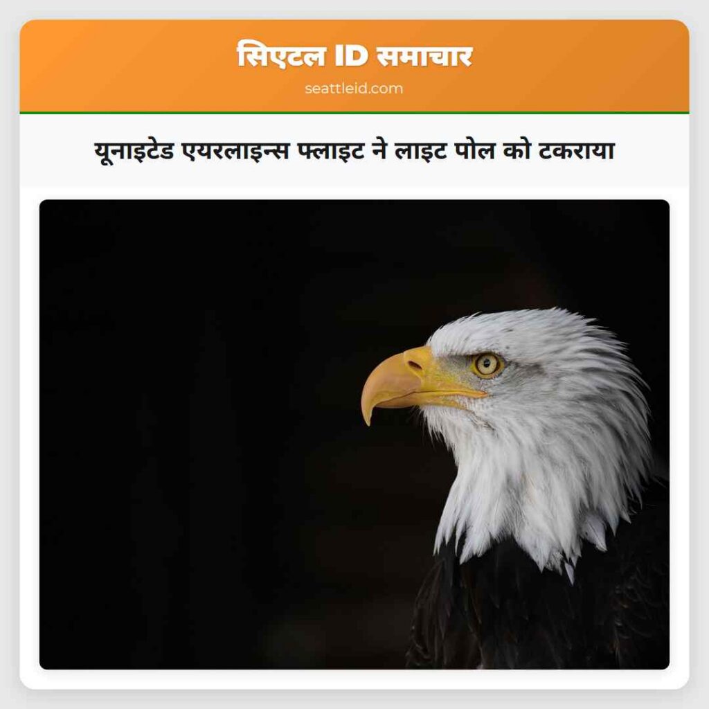 यूनाइटेड एयरलाइन्स फ्लाइट ने लाइट पोल को टकराया