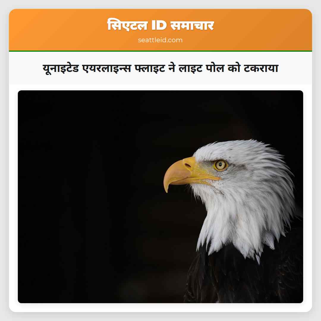 यूनाइटेड एयरलाइन्स फ्लाइट ने लाइट पोल को टकराया