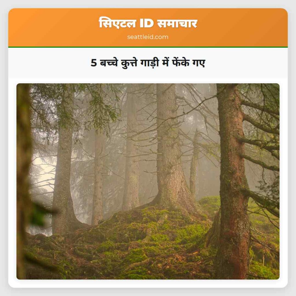 5 बच्चे कुत्ते गाड़ी में फेंके गए