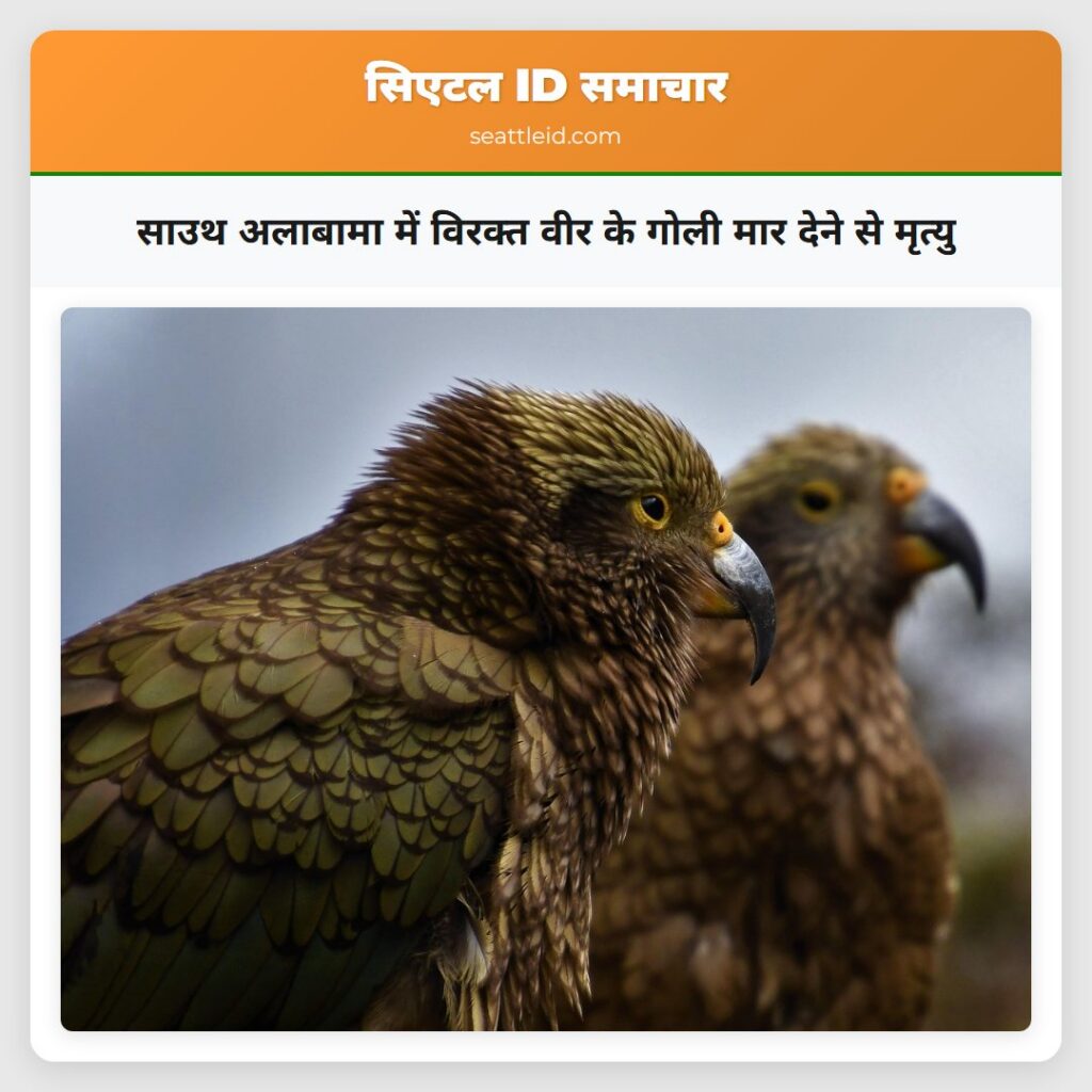 साउथ अलाबामा में विरक्त वीर के गोली मार देने से
