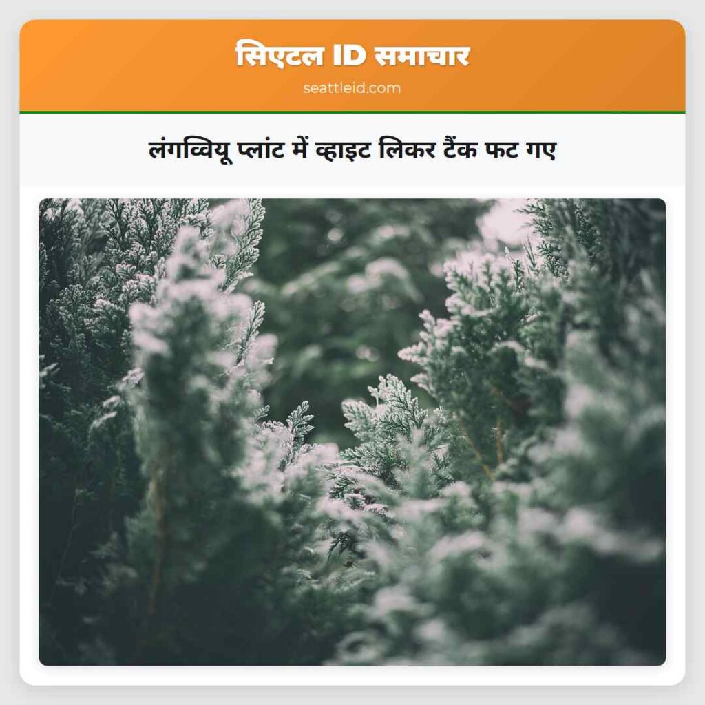 लंगव्वियू प्लांट में व्हाइट लिकर टैंक फट गए
