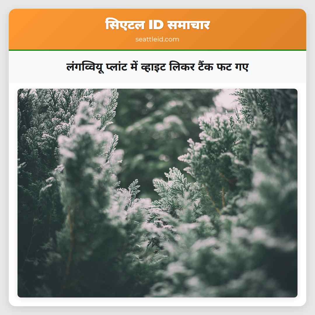 लंगव्वियू प्लांट में व्हाइट लिकर टैंक फट गए