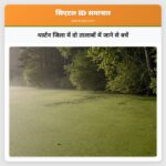 थर्स्टन जिला में दो तालाबों में जाने से बचें