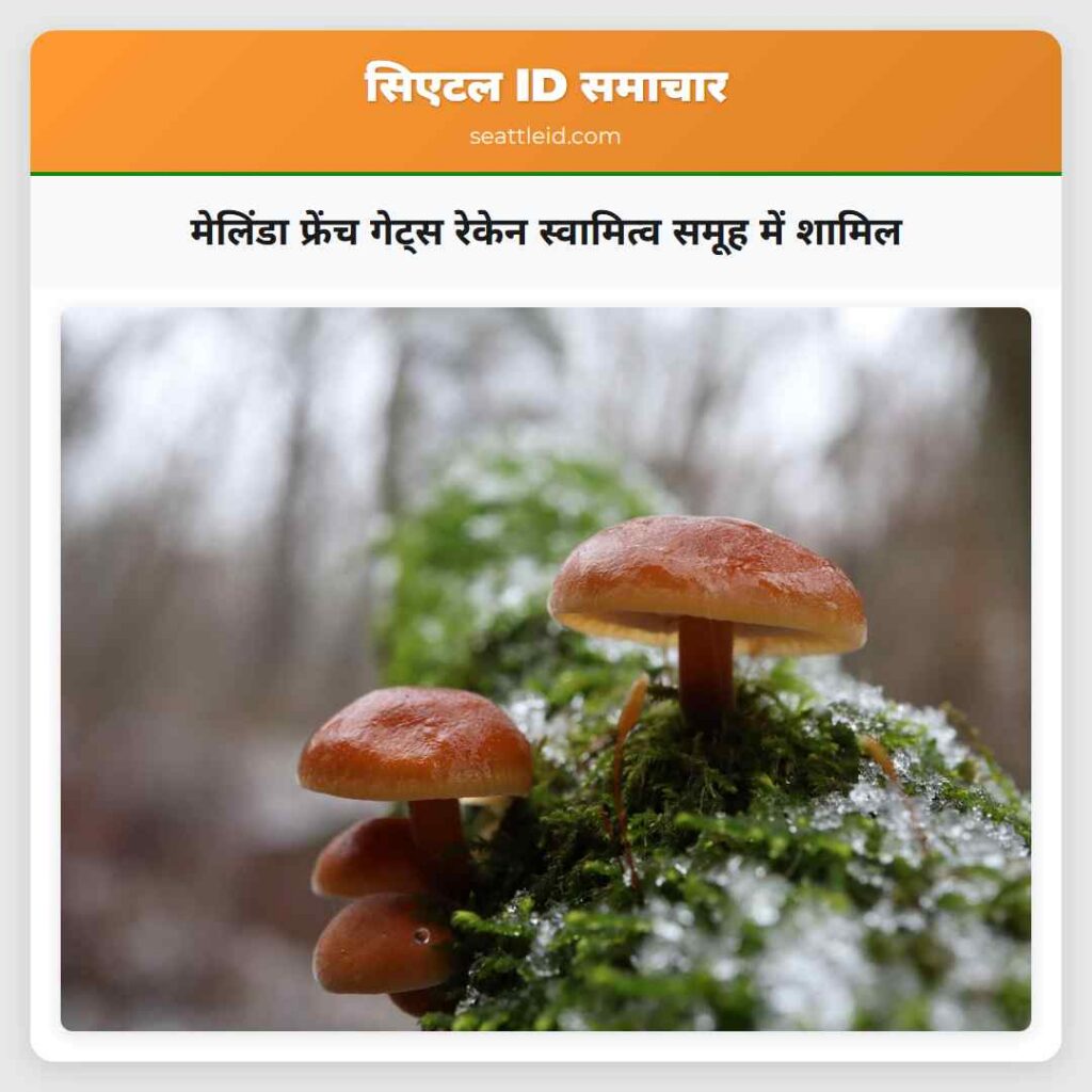 मेलिंडा फ्रेंच गेट्स रेकेन स्वामित्व समूह में