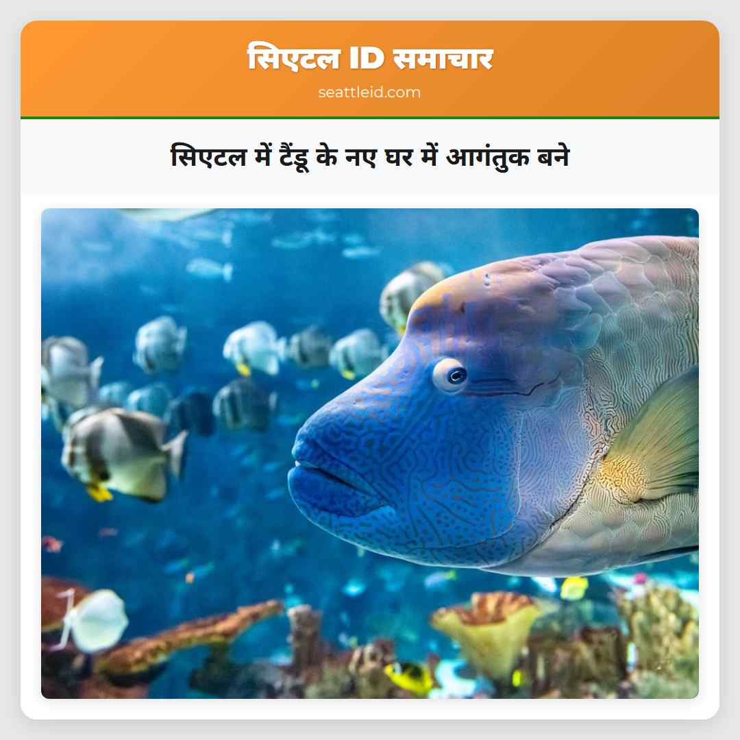 सिएटल में टैंडू के नए घर में आगंतुक बने