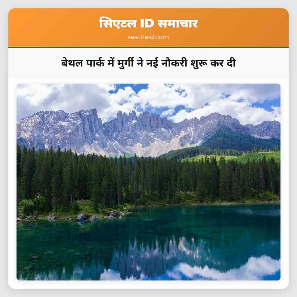 बेथल पार्क में मुर्गी ने नई नौकरी शुरू कर दी