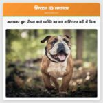 अलास्का बुश पीपल वाले व्यक्ति का शव वाशिंगटन नदी में मिला