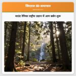 माउंट रेनियर राष्ट्रीय उद्यान में आग बर्बन शुरू
