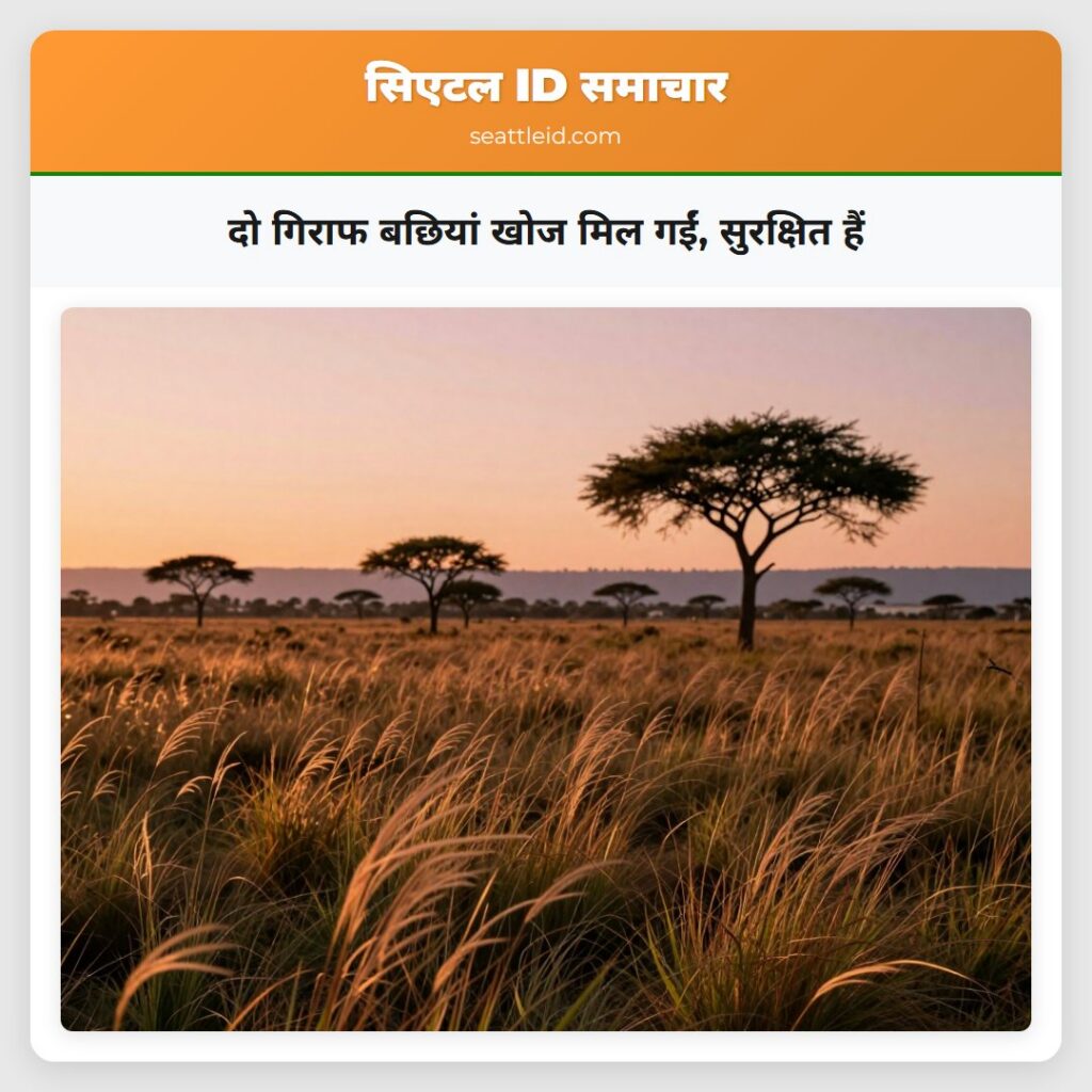 दो गिराफ बछियां खोज मिल गईं, सुरक्षित हैं