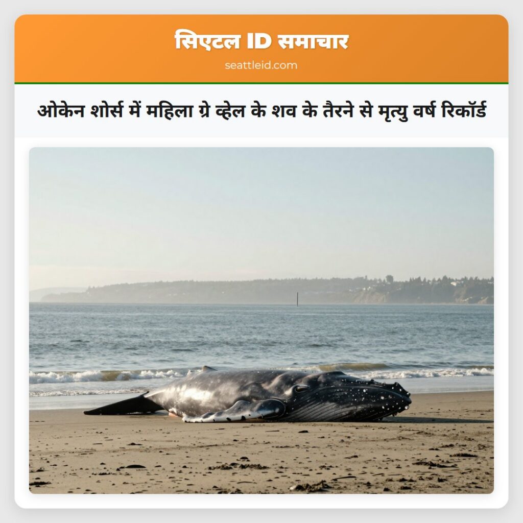 ओकेन शोर्स में महिला ग्रे व्हेल के शव के तैरने से