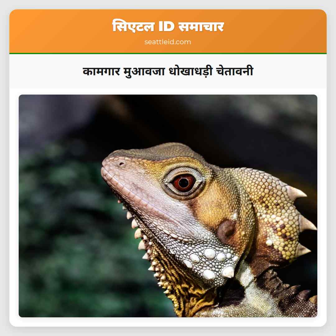 कामगार मुआवजा धोखाधड़ी चेतावनी