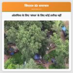 ओलंपिया के लिए जंगल के लिए कोई तारीख नहीं
