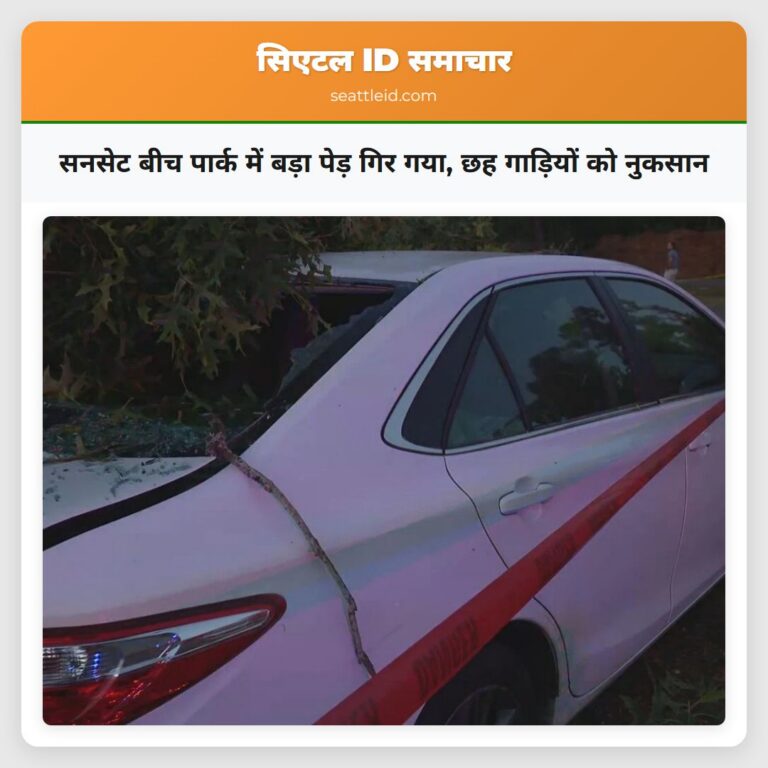 सनसेट बीच पार्क में बड़ा पेड़ गिर गया छह गाड़ियों को नुकसान