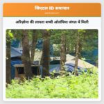 अरिज़ोना की लापता बच्ची ओलंपिया जंगल में मिली