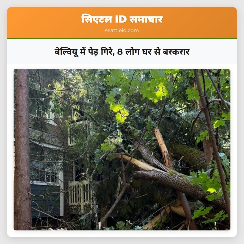 बेल्वियू में पेड़ गिरे, 8 लोग घर से बरकरार