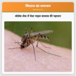 मोसेस लेक में वेस्ट नाइल वायरस की पहचान