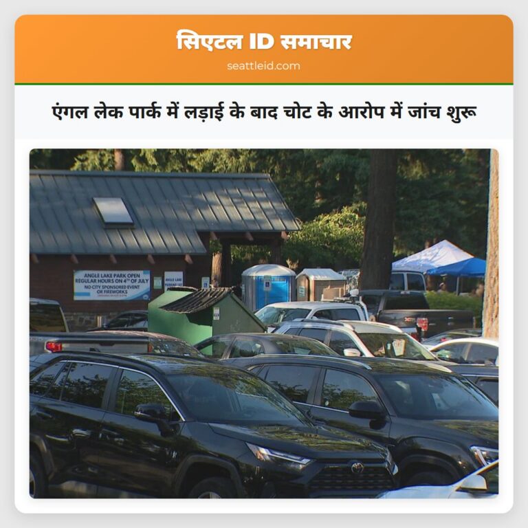 एंगल लेक पार्क में लड़ाई के बाद चोट के आरोप में जांच शुरू