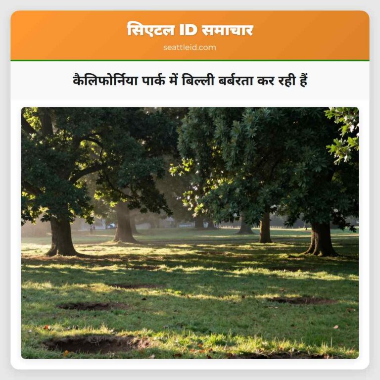 कैलिफोर्निया पार्क में बिल्ली बर्बरता कर रही हैं