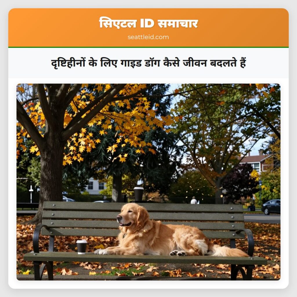 दृष्टिहीनों के लिए गाइड डॉग कैसे जीवन बदलते हैं