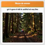 कुत्ते ने सुल्तान में चोरी के आरोपितों को पकड़ लिया