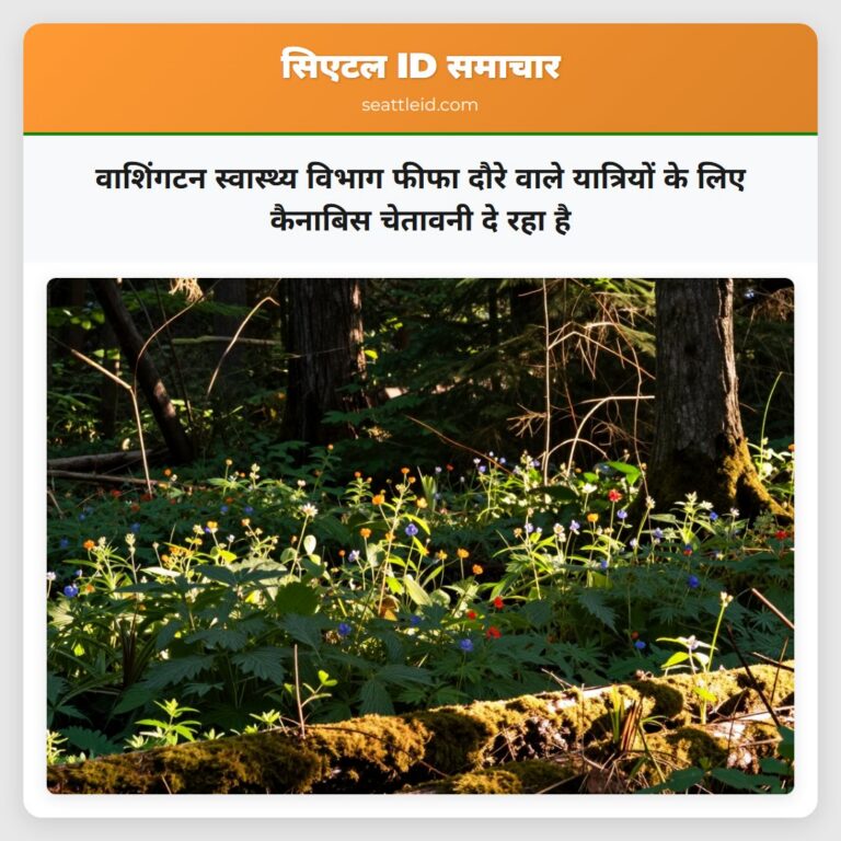वाशिंगटन स्वास्थ्य विभाग फीफा दौरे वाले यात्रियों के लिए कैनाबिस चेतावनी दे रहा है