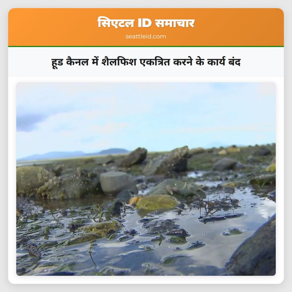 हूड कैनल में शैलफिश एकत्रित करने के कार्य बंद