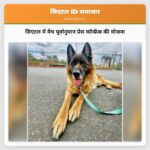 सिएटल में मैच पूर्वानुमान प्रेस कॉन्फ्रेंस की योजना
